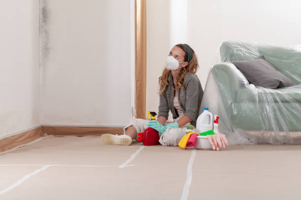 Reliable Basement Mold Removal contractor in Weston, NJ by WQB Mold Removal